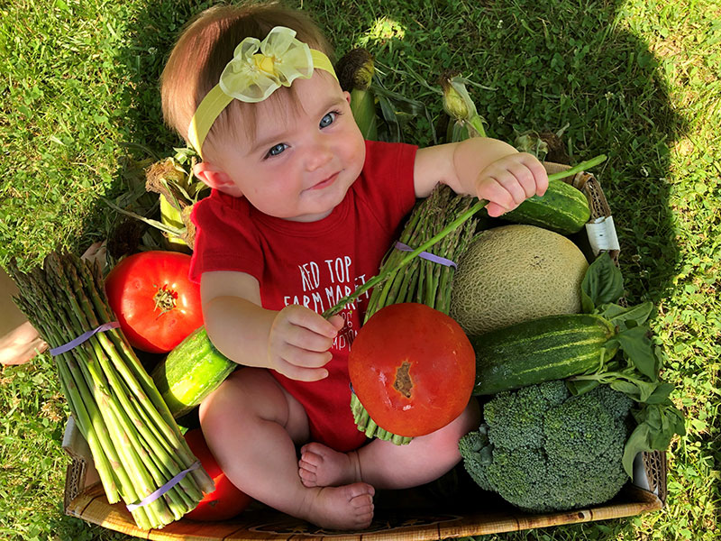A baby wearing a Red Top Farm Market onesie sitting in a basket filled with various vegetables smiling up at the camera.