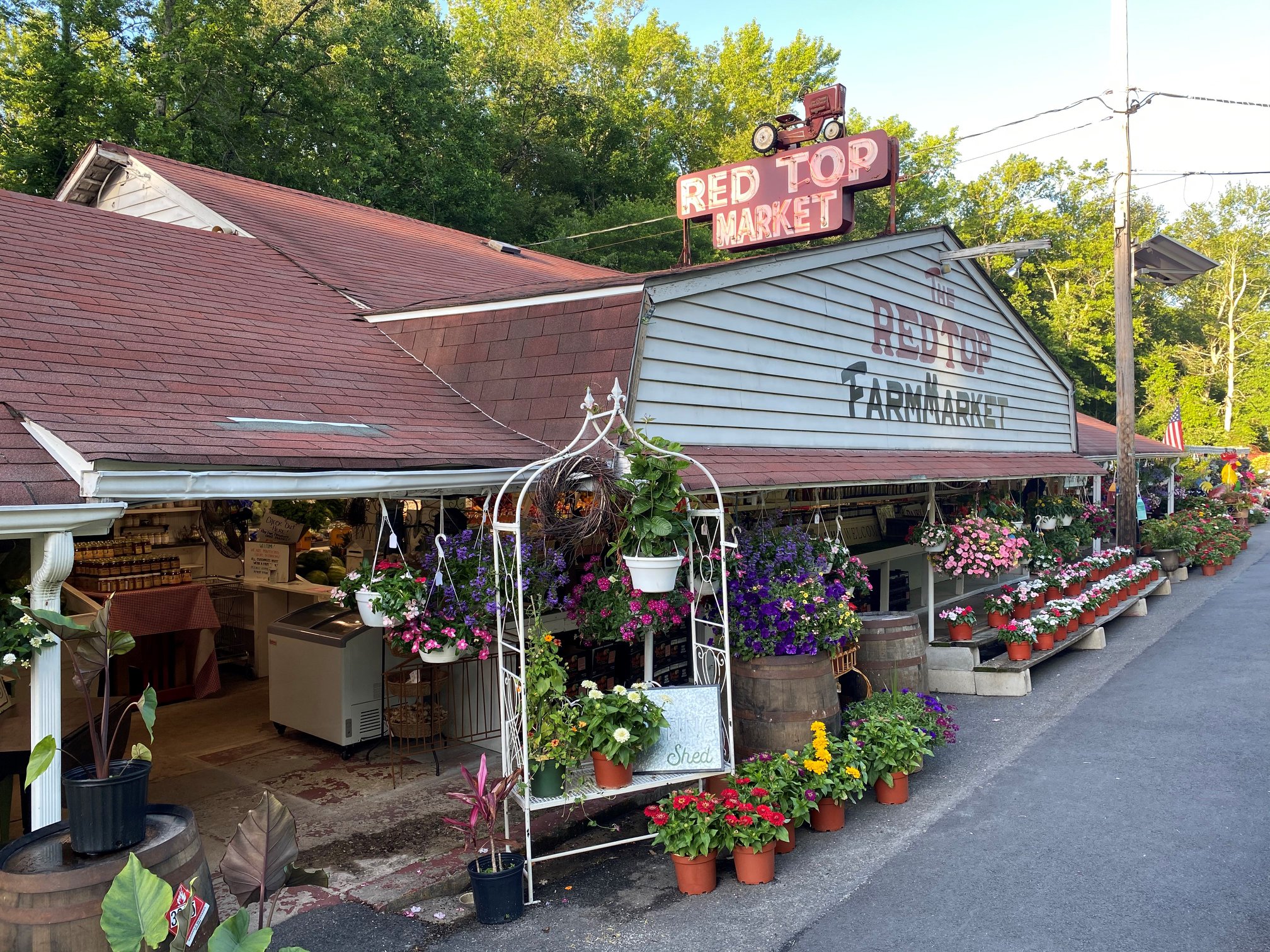 Front view of Red Top Farm Market. A white building with a red roof surrounded by flowers and plants for sale.