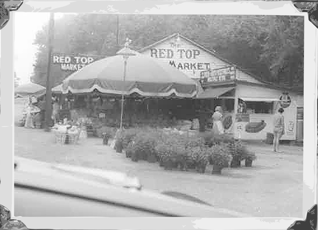Historical black and white photo showing Red Top Farm Market, plants, and a big umbrella.