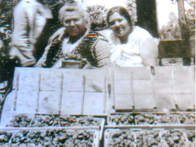 A historical black and white photo of Red Top Farm Market's owner/family members posing for the camera.