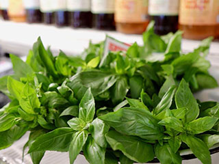 A basil plant and other herbs for sale at Red Top Farm Market.