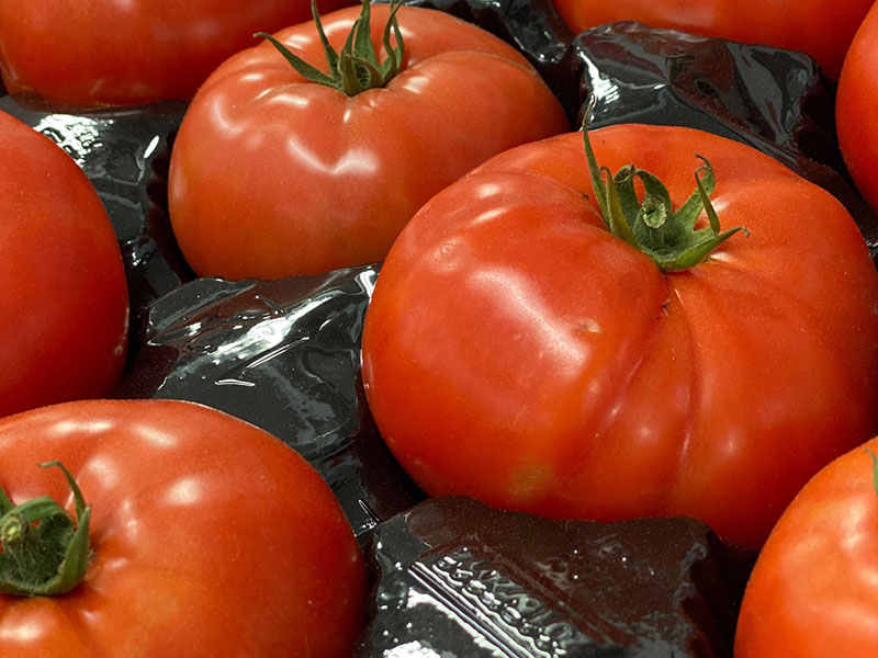 Closeup of Jersey tomatoes at Red Top Farm Market